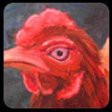 chicken not a breast